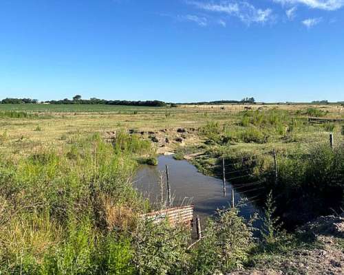 Campo en Venta San Pedro Buenos Aires