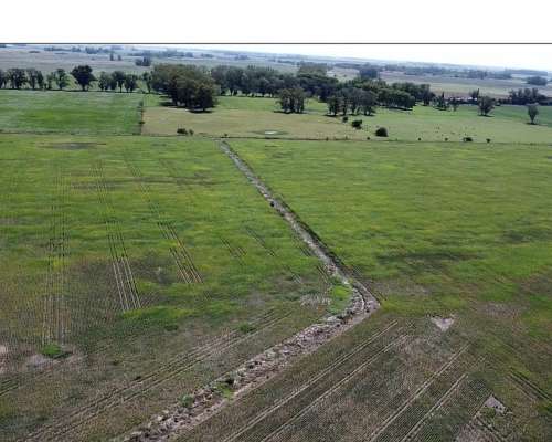 Campo Agrícola en Alquiler
