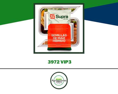 Semilla de Maiz Supra 3972 VIP3