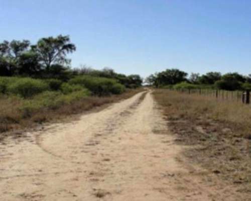 Campo Ganadero - Laprida - Santiago del Estero.-