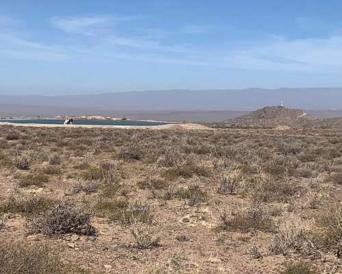 Tocota, Iglesia, San Juan, Argentina