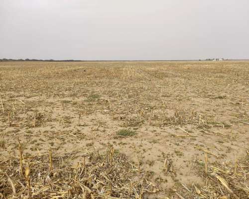 Liborio Luna 430 Has