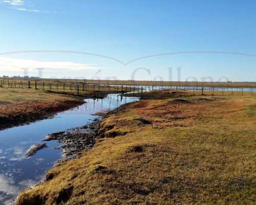 Campo en Venta. 2492 Has. en Tapalqué