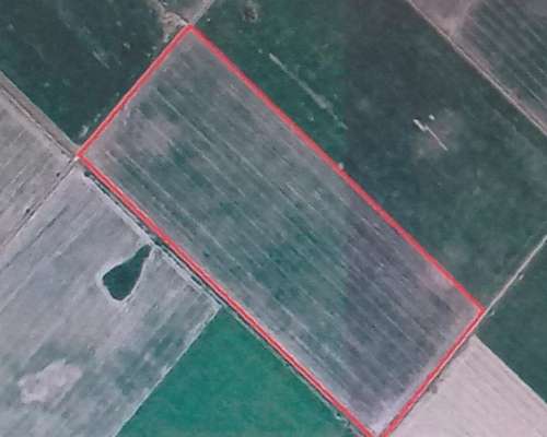 San Nicolas 40 Has Agricolas