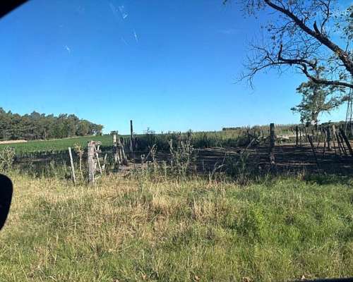 Campo en Venta San Pedro Buenos Aires