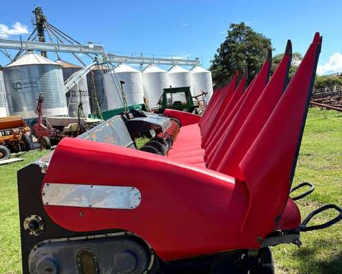 Maicero 16/52 Ombu cm 2020