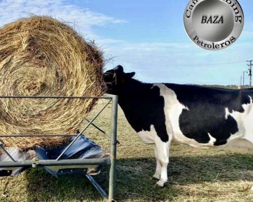 Pasteras Porta Rollos Moviles