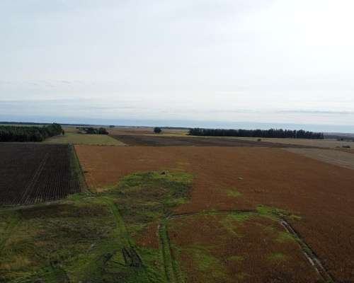 107 Has o 77 y 1/2 en Miramar - de Lujo -