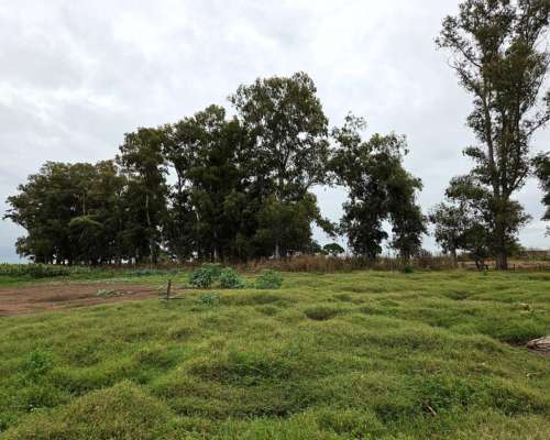 350 Hectareas Bolivar Venta