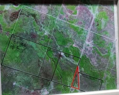 Campo Ganadero 1470 Has Pcia de la Plaza Chaco
