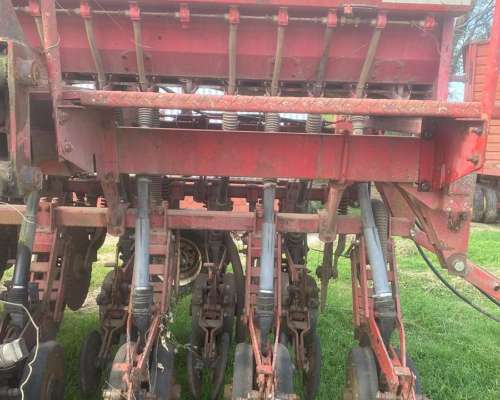 Cruccianelli Pionera IV de 30 a 23 con Alfalfero