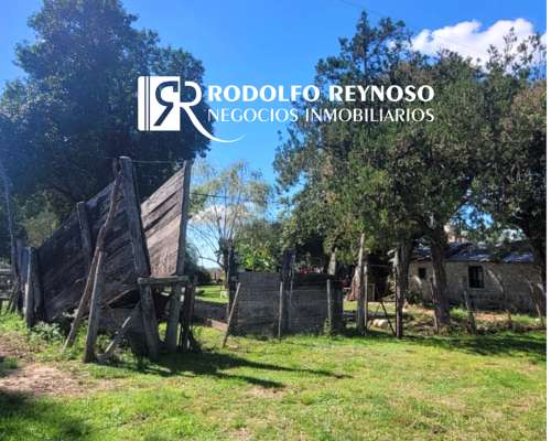7 HA. en Gualeguaychú - Sobre Ruta 20