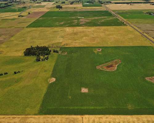 Campo Agrícola 120 HA, Bolivar (bs. As.)