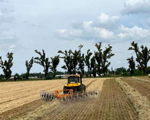 Rastrillo en V de 12 Estrellas Alser Anca