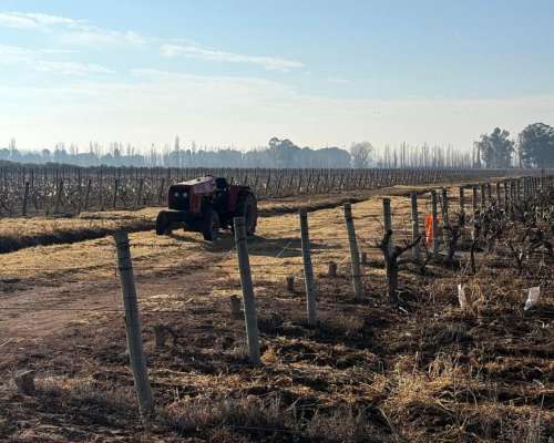 Finca de 60ha en Ruta N° 40 Capdevilla Derecho de Riego