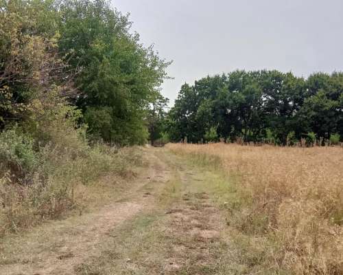 Las Heras Chacra 12 Has