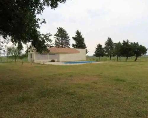 Campo Sobre Ruta en Saladillo