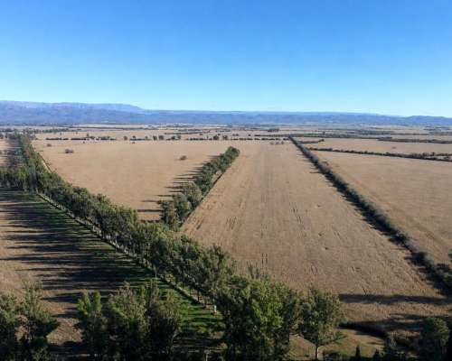 Alta Gracia, Santa María, Córdoba - 823 Ha