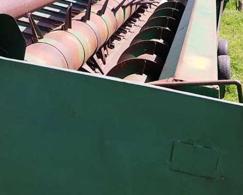 Girasolero Piersanti de 19 a 52