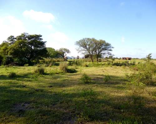 8.443 Has. en Venta - Logroño, 9 de Julio - Santa FE.