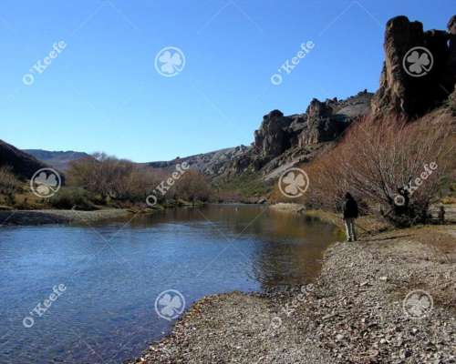 Campo en Venta de 635 Has Bariloche, Costa de Pichileufu