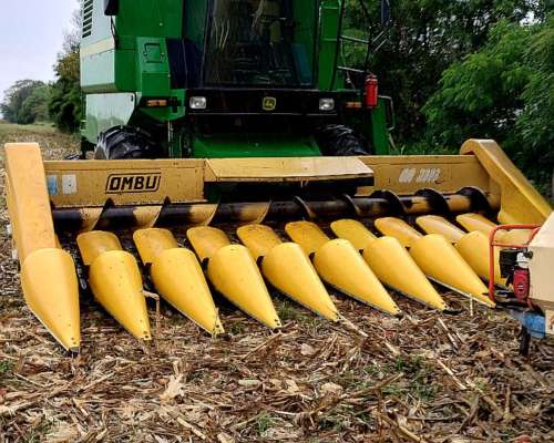 Maicero Ombu 10/52 2005