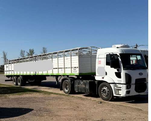 Camion Ford 1723 Jaula Sola y Brusa