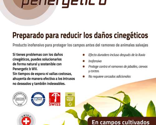 Penergetic B ZV y WV