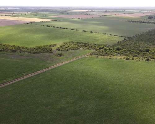525 Hectáreas Agrícolas Sobre Ruta, San Marcial.
