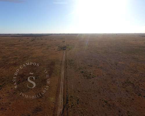Campo Ganadero. Hipatia, Santa FE. 118 HA.