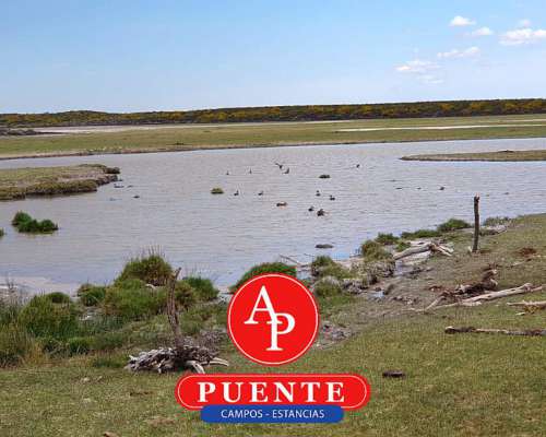 En Venta 12.500 HA. Puelén, la Pampa.