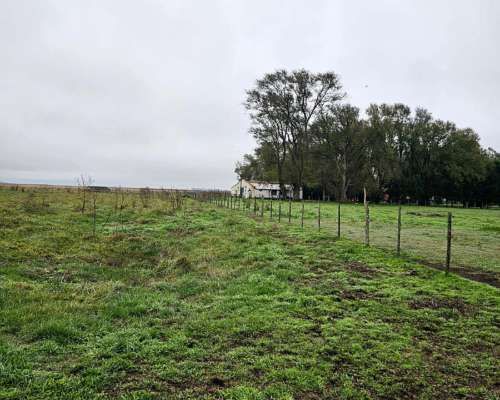 Alquiler Campo Cria 72 Kg/ha