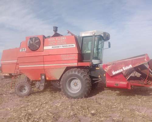 Massey FERGUSON34 MÁS Maizero y Tolva de 14