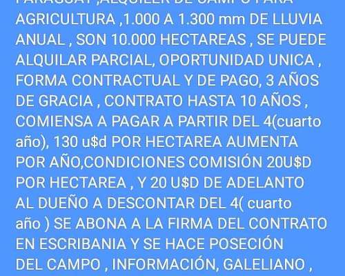 Alquiler de Campo Paraguay Galeliano