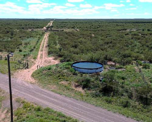 14500 Ha Ganaderas, la Paz, Mendoza