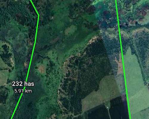 230 Hectareas Mixtas Gualeguaychu