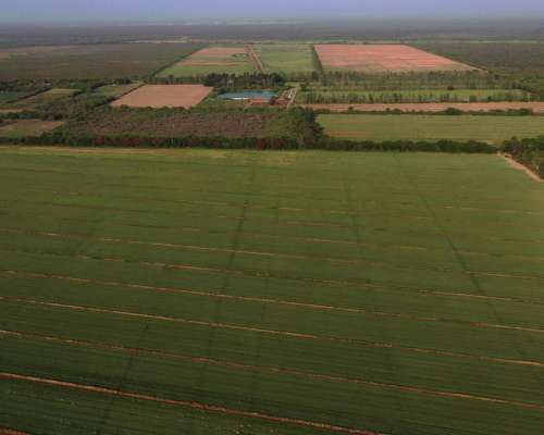 Santiago del Estero 370 Has Bien Agrícolas