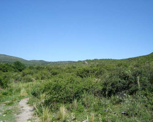 935 Hectareas en Villa Albertina
