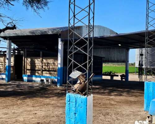 Impecable Feed LOT Cercano a la Banda, Santiago.