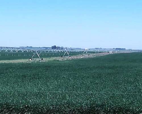 786 Ha con Tambo - a Tranquera Cerrada