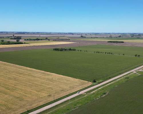 Campo en Venta. 63ha Pergamino