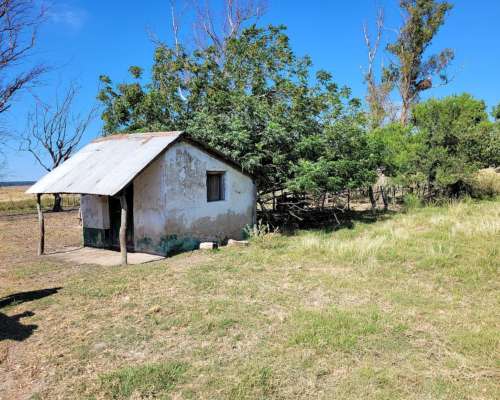 2.228 Has Arrendamiento Ganadero en Pje. San Salvador Corrie