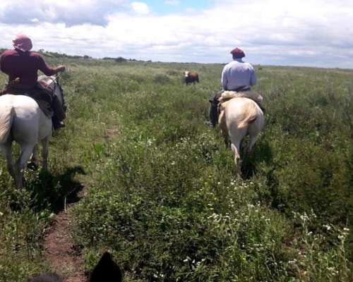 705 Has de Isla Gualeguay Entre Ríos