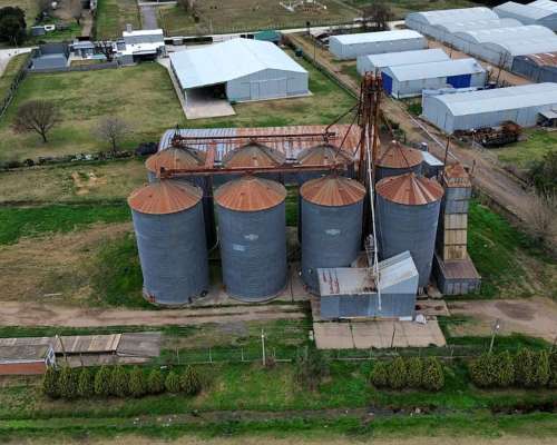 Planta de Acopio de Granos en Venta o Alquiler Arequito