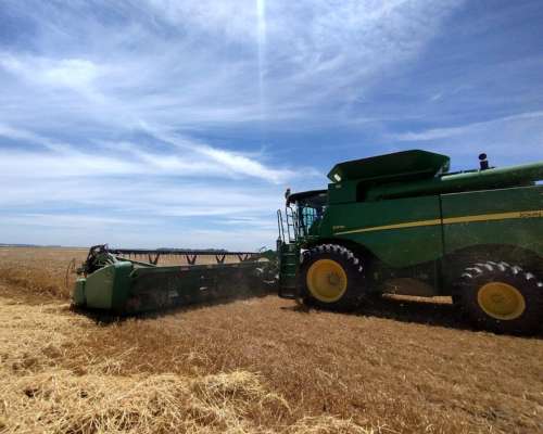 Cosechadora John Deere S670 - Usada