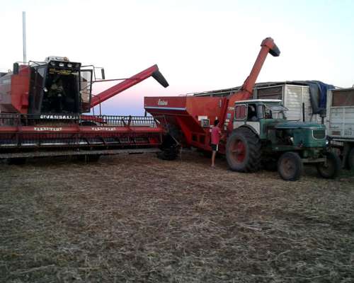 Vassalli 1200, 23 P, 10 Surcos (arveja)