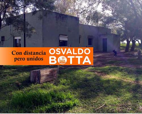 1240 Hectáreas en General San Martín, la Pampa