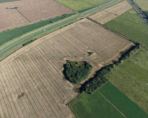 21 HA. Agricolas Sobre RN 34. San Genaro (santa FE)