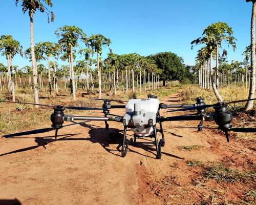 Drone DJI Agras T40 Agrícola