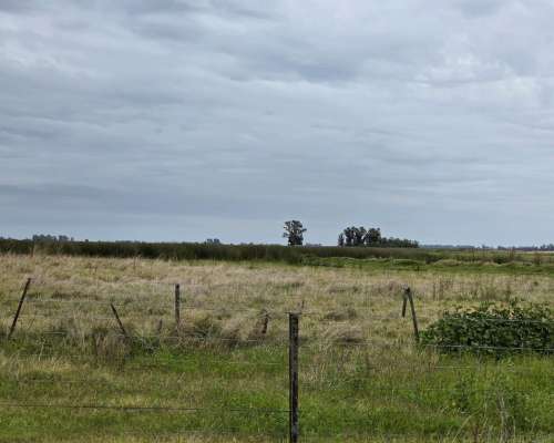 350 Hectareas Bolivar Venta